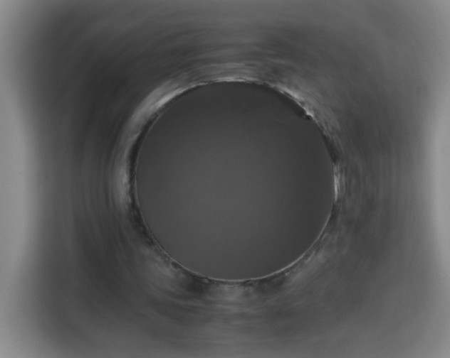 X0000113950339200910021510