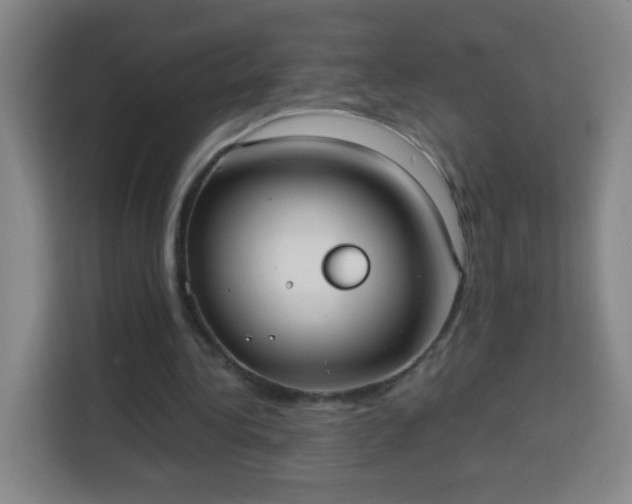 X0000113950340200910021510