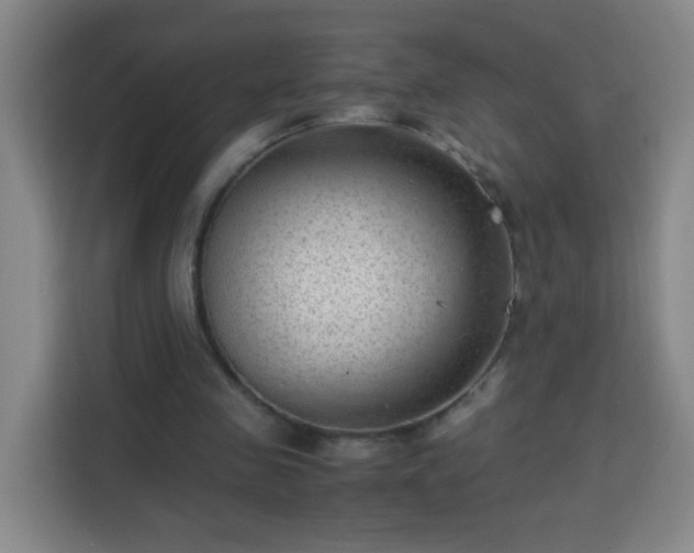 X0000113950341200910021510