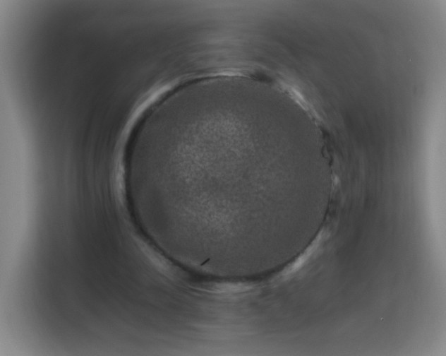 X0000113950342200910021510