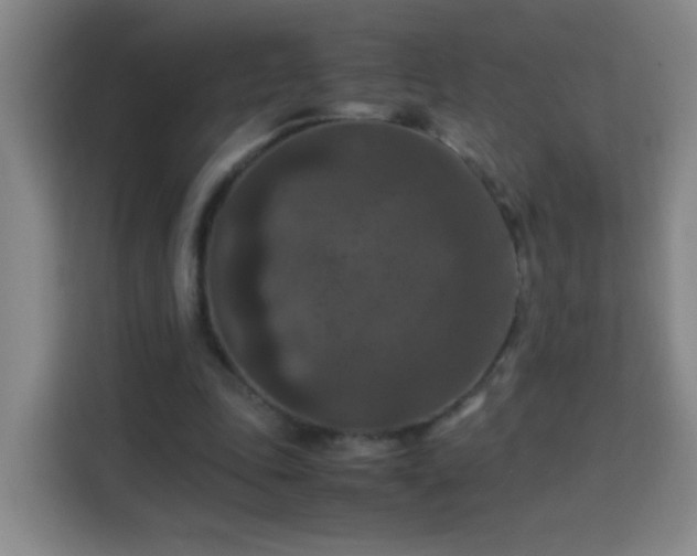 X0000113950343200910021510