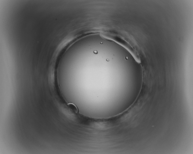 X0000113950344200910021510