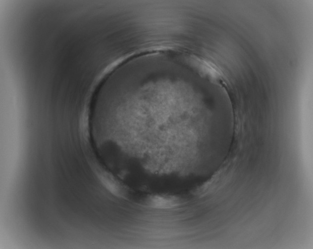 X0000113950346200910021510