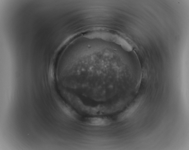 X0000113950347200910021510