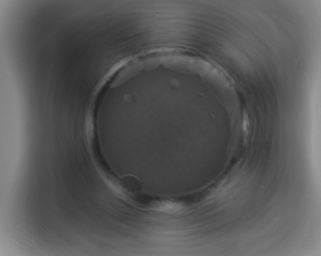 X0000113950348200910021510