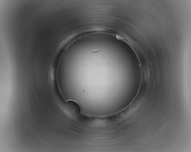 X0000113950350200910021510