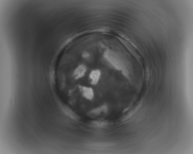 X0000113950351200910021510