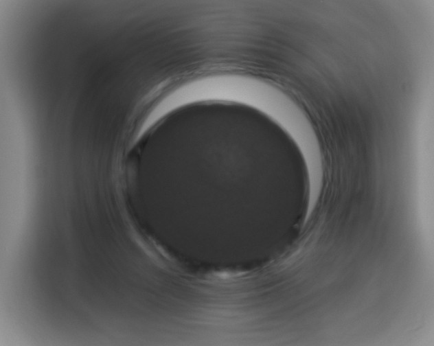 X0000113950352200910021510