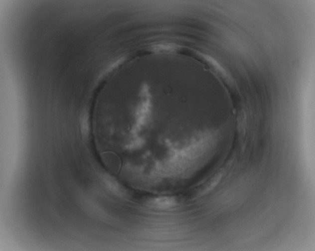 X0000113950353200910021510