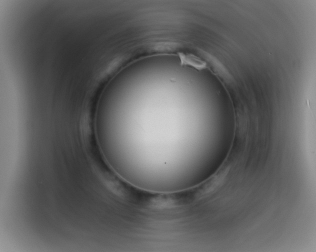 X0000113950354200910021510