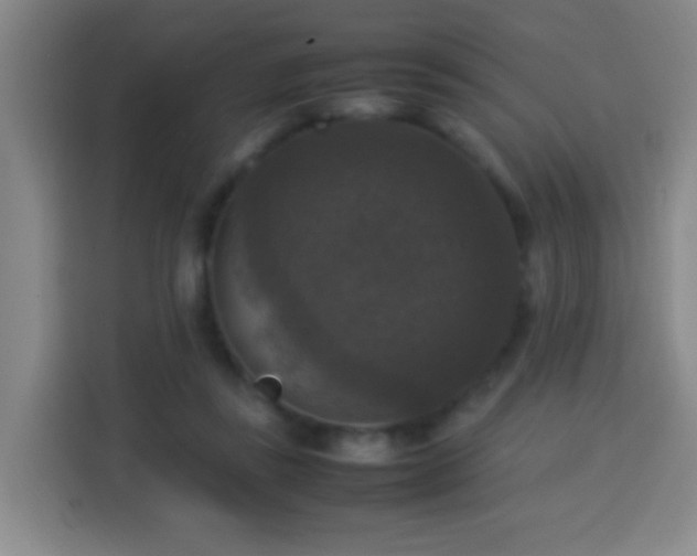 X0000113950355200910021510