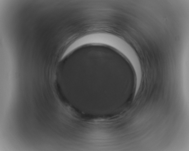X0000113950356200910021510