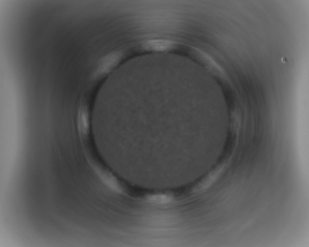 X0000113950358200910021510