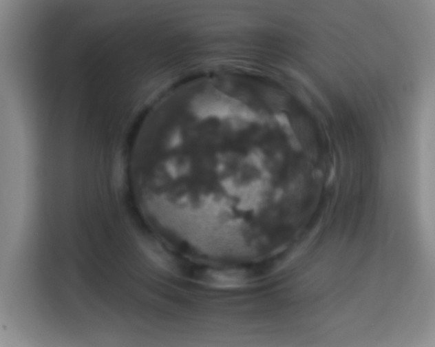 X0000113950359200910021510