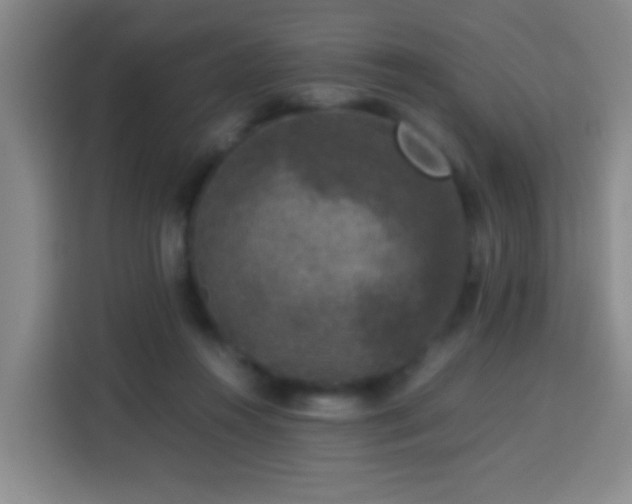 X0000113950360200910021510
