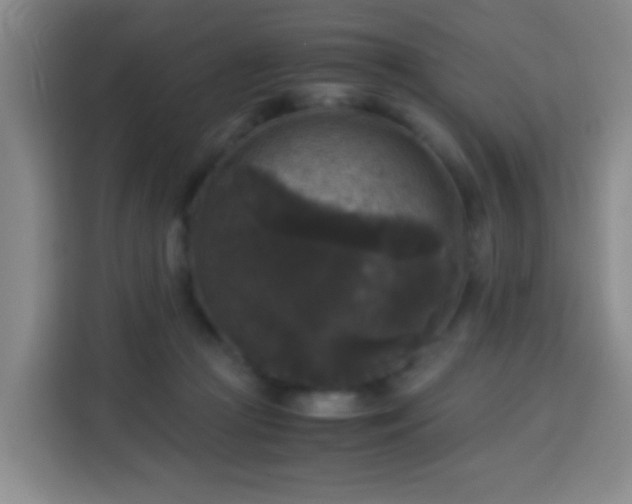 X0000113950361200910021510