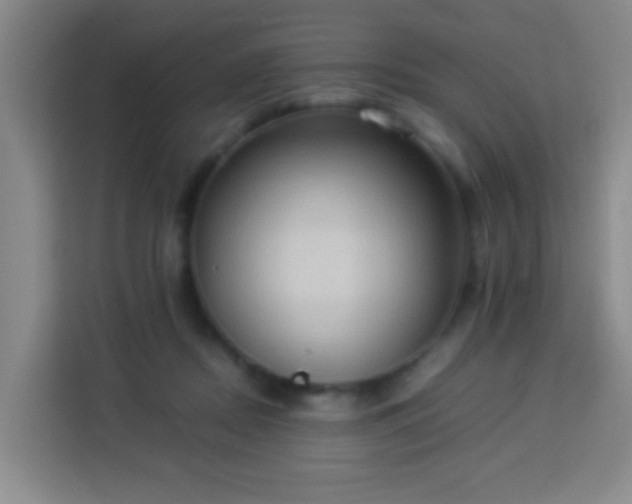 X0000113950362200910021510