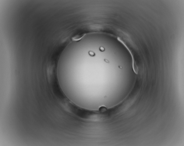 X0000113950364200910021510