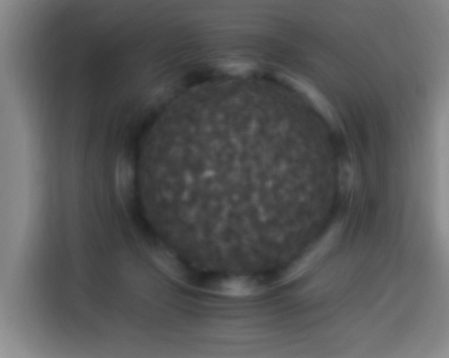 X0000113950365200910021510