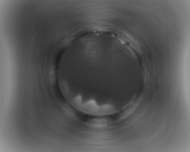 X0000113950366200910021510