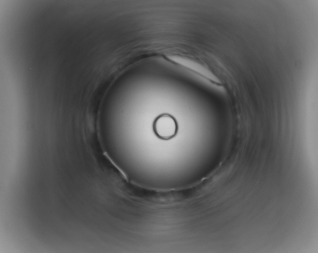 X0000113950368200910021510