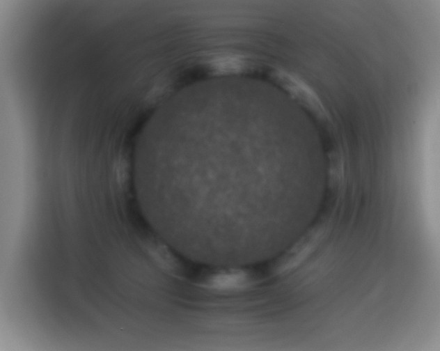 X0000113950369200910021510