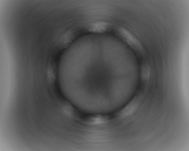 X0000113950370200910021510