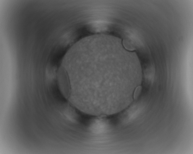 X0000113950372200910021510
