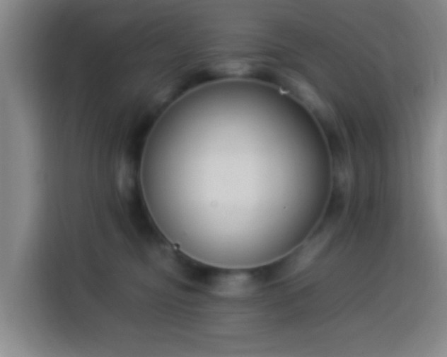 X0000113950374200910021510