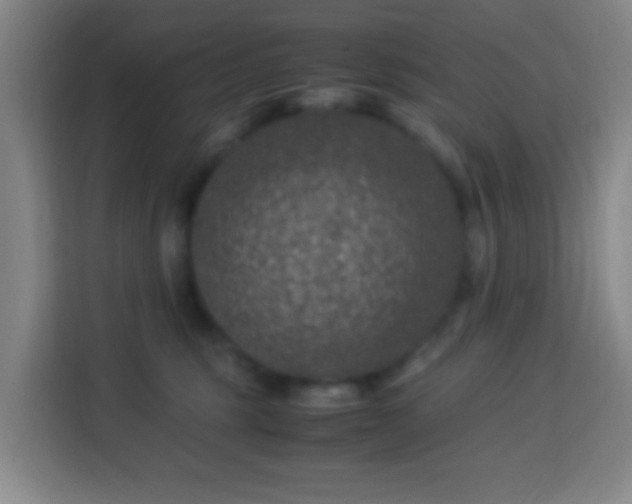 X0000113950375200910021510