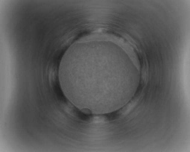 X0000113950376200910021510