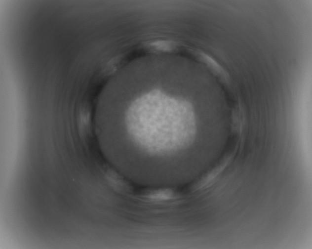 X0000113950377200910021510