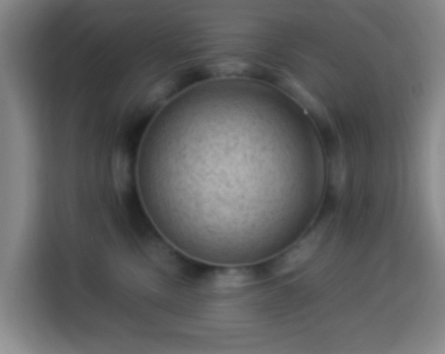 X0000113950378200910021510