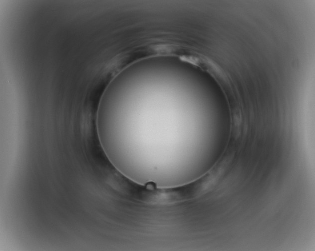 X0000113950379200910021510