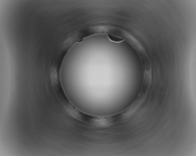 X0000113950381200910021510