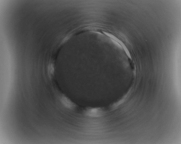 X0000113950382200910021510