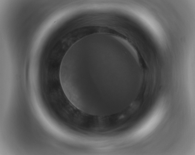 X0000113950383200910021510