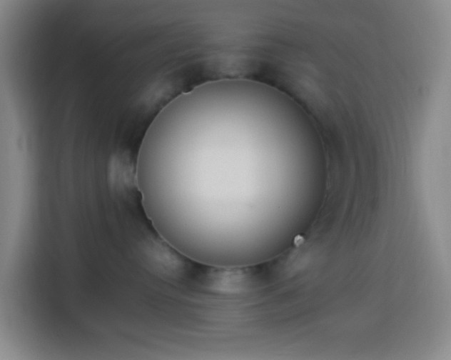 X0000113950384200910021510