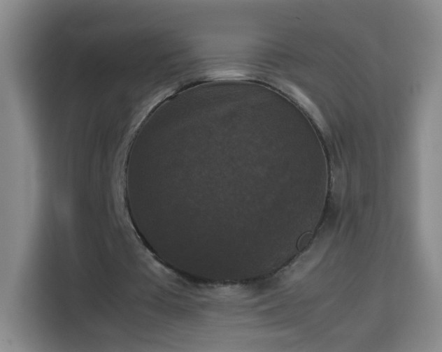 X0000113950385200910021510