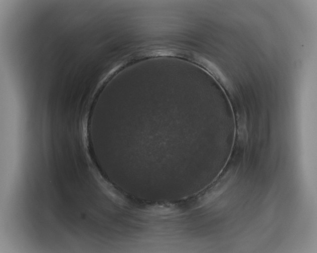 X0000113950386200910021510
