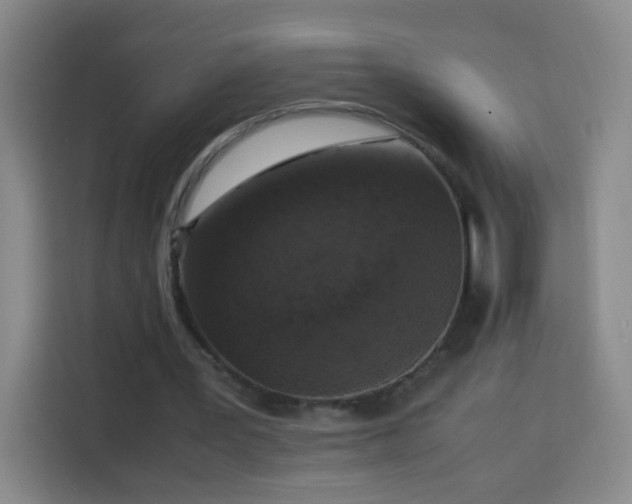 X0000113950387200910021510