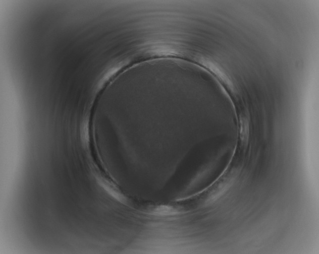 X0000113950390200910021510