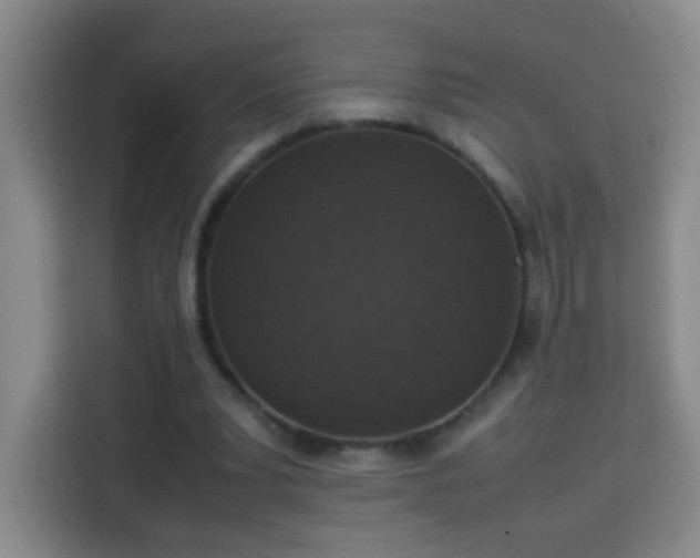 X0000113950391200910021510