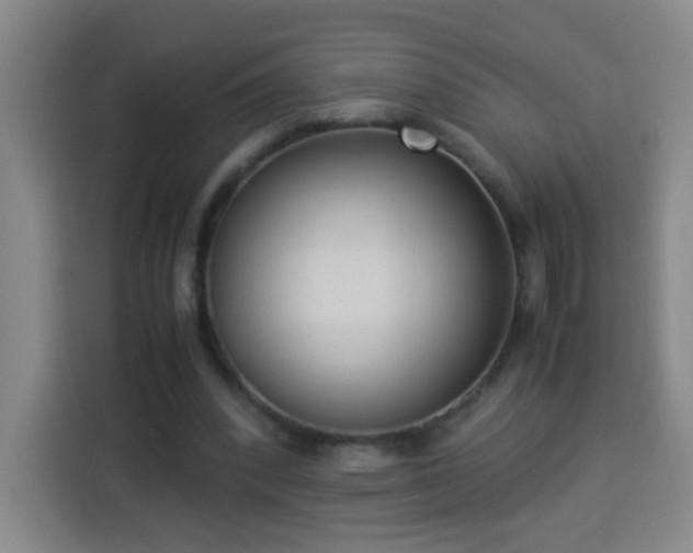X0000113950392200910021510