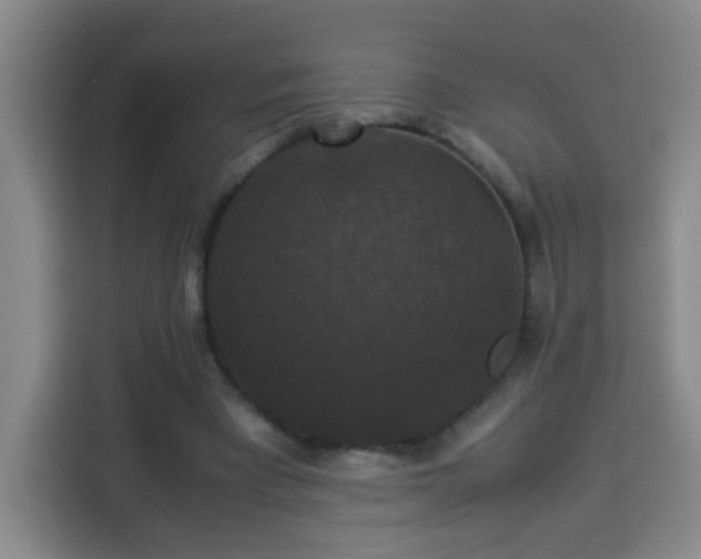 X0000113950393200910021510