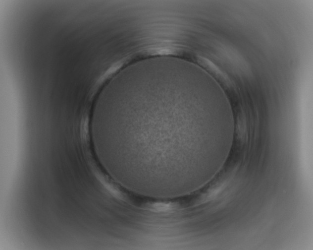 X0000113950394200910021510