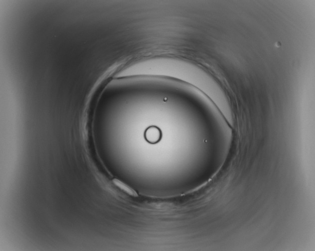 X0000113950395200910021510