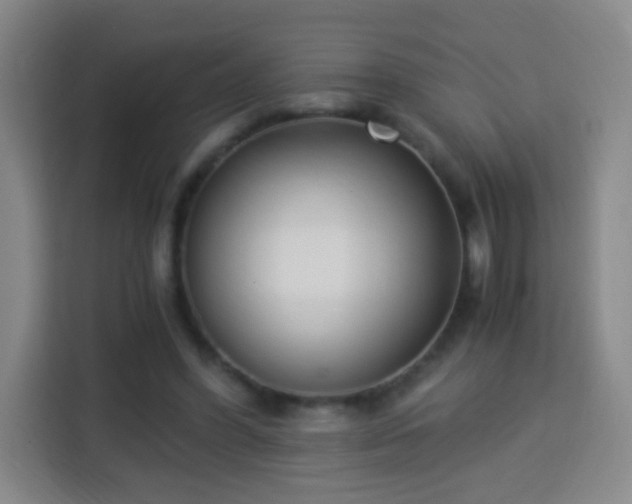 X0000113950396200910021510