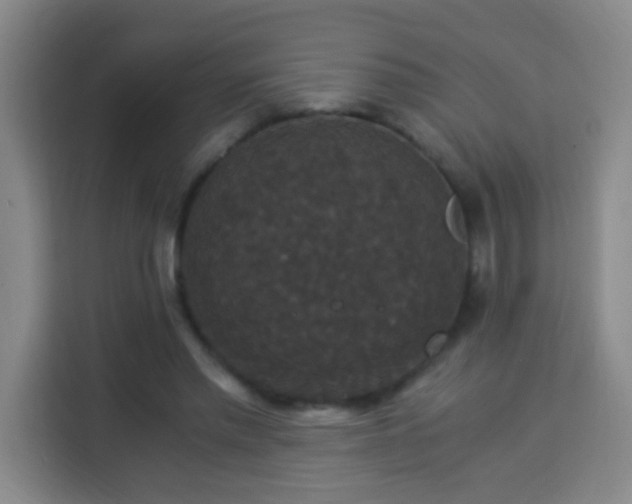 X0000113950397200910021510