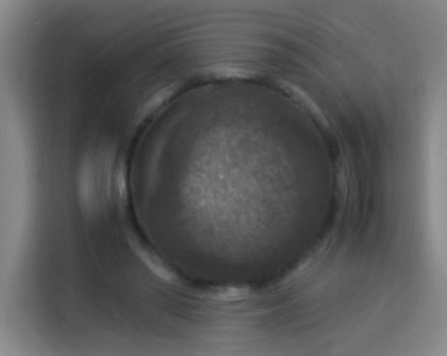 X0000113950398200910021510